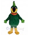 Toucan Bird mascot costume