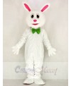 Funny Easter Bunny Rabbit Mascot Costume School 