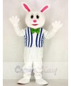 Funny Easter Bunny Rabbit with Vest Mascot Costume School 	