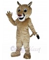 Cougar mascot costume