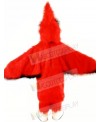 New Big Red Cardinal Mascot Costume