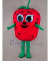 Strawberry mascot costume