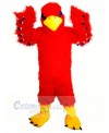 Funny Red Hawk Mascot Costumes Cartoon