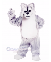 Grey and White Huskey Mascot Costumes Animal