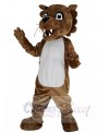 Cougar mascot costume