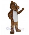 Cougar mascot costume