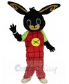 Easter Bunny Rabbit mascot costume