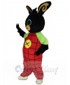 Easter Bunny Rabbit mascot costume