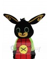 Easter Bunny Rabbit mascot costume