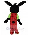 Easter Bunny Rabbit mascot costume