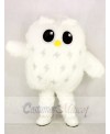 Cute White Owl Mascot Costume School 	