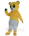 Bear mascot costume