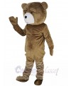 Teddy Bear mascot costume