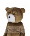 Teddy Bear mascot costume