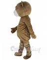 Teddy Bear mascot costume