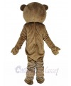 Teddy Bear mascot costume