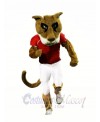 College Cougar Mascot Costumes