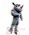 Power Rhino Mascot Costumes