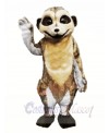 Cute Lightweight Meerkat Mascot Costumes 