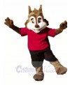 Cute Sport Squirrel Mascot Costumes 