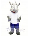 High Quality Rhino Mascot Costumes