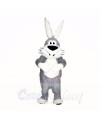 Smiling Grey and White Rabbit Mascot Costumes Cartoon