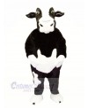 Quality Cow Mascot Costume Cartoon	