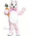 Pink Bunny Rabbit with Carrot Mascot Costumes Animal	