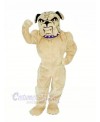 Realistic Bulldog Mascot Costumes Cartoon
