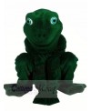 High Quality Realistic Frog Mascot Costumes