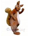 High Quality Furry Squirrel Mascot Costumes 