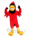 Strong Red Cardinal Mascot Costumes Animal