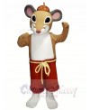 Cute Lightweight Mouse Mascot Costumes