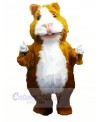 Cute Hamster Mascot Costumes Cartoon	