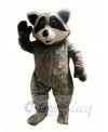 Cute Lightweight Raccoon Mascot Costumes