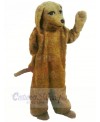 Brown Poodle Dog Mascot Costumes Adult