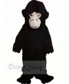 Fierce Black Gorilla Mascot Costumes Cheap