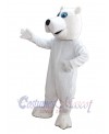 Bear mascot costume