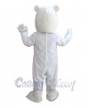 Bear mascot costume
