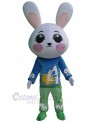 Bunny mascot costume