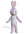 Bunny mascot costume