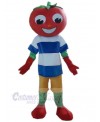 Tomato mascot costume