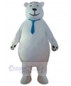 Bear mascot costume