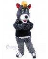 Bear mascot costume