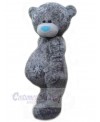 Bear mascot costume