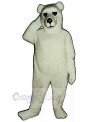 Bear mascot costume