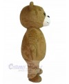 Bear mascot costume