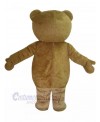 Bear mascot costume