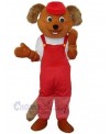 Bear mascot costume