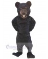 Bear mascot costume